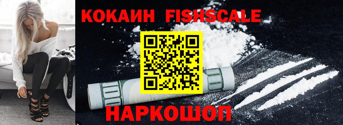 Cocaine Fish Scale  Вход с VPN  COCAIN Fish Scale  Петропавловск-Камчатский 