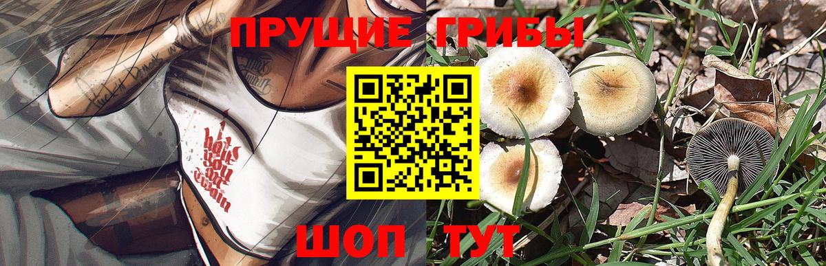 Петропавловск-Камчатский  Галлюциногенные грибы MAGIC MUSHROOMS  Вход с VPN 